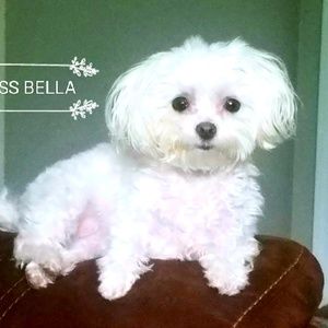 Meet your Posher, Susan